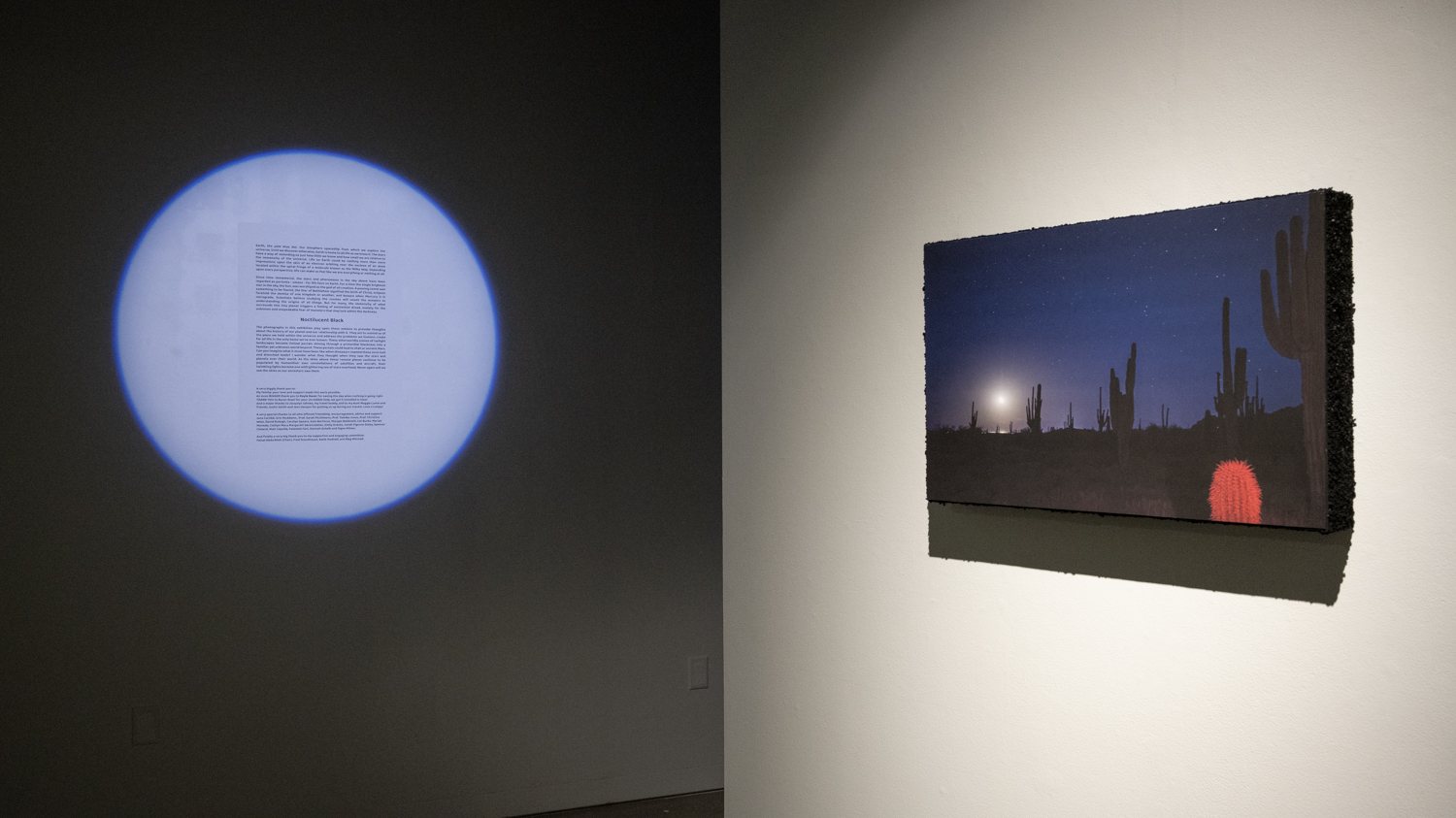 Noctilucent Black - 2024 MFA Qualifier Exhibition; University of Wisconsin - Madison