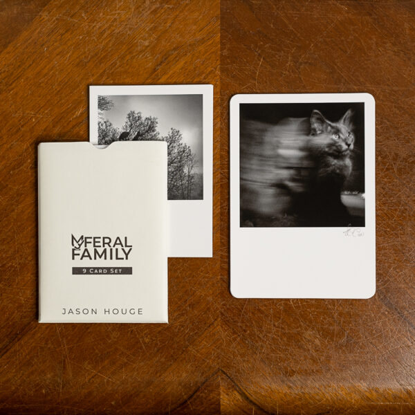 My Feral Family Deluxe 9 Card Set. Set Includes 1 of 5 limited edition Fine Art Prints. (Edition Size: 20 of each print) Photo printed on Hahnemühle Photo Rag Fine Art Paper