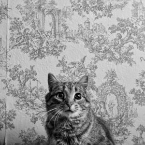 One-Eye Ernie; New Franken, WI, 2014; © 2021 Jason Houge, All Rights Reserved; MFF_025