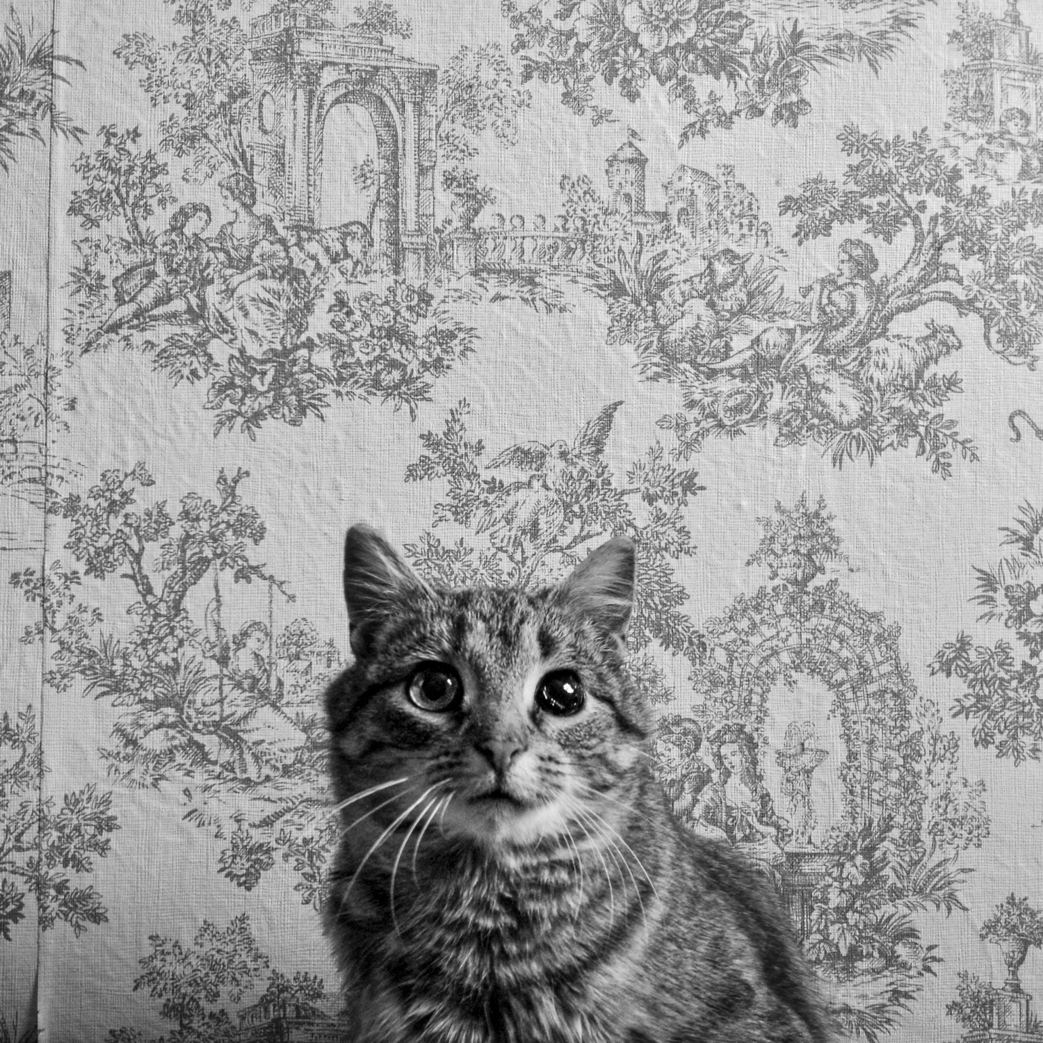 One-Eye Ernie; New Franken, WI, 2014; © 2021 Jason Houge, All Rights Reserved; MFF_025