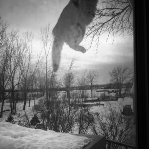 Fluffkin Can Fly; New Franken, WI 2014; © 2021 Jason Houge, All Rights Reserved; MFF_099