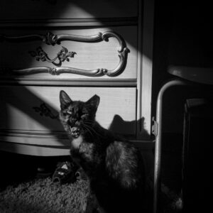 Carrie; New Franken, WI 2015; © 2021 Jason Houge, All Rights Reserved; MFF_260