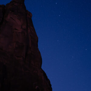 Nefertiti and the bear; Noctilucent Black; © 2023 Jason Houge, All Rights Reserved