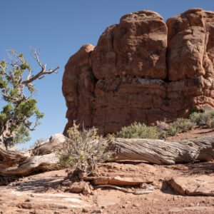 Arches National Park, Moab, Utah; 2023, June 25, 5:32pm © 2025 Jason Houge, All Rights Reserved