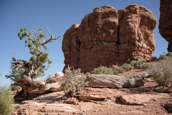 Arches National Park, Moab, Utah; 2023, June 25, 5:32pm © 2025 Jason Houge, All Rights Reserved