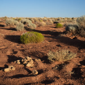 Holbrook, Arizona; 2023, June 28, 7:55pm © 2025 Jason Houge, All Rights Reserved