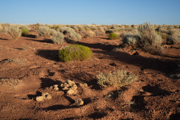 Holbrook, Arizona; 2023, June 28, 7:55pm © 2025 Jason Houge, All Rights Reserved