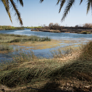 Laguna Dam, Ft. Yuma Indian Reservation, California; 2023, July 10, 5:12pm © 2025 Jason Houge, All Rights Reserved