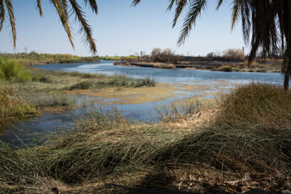 Laguna Dam, Ft. Yuma Indian Reservation, California; 2023, July 10, 5:12pm © 2025 Jason Houge, All Rights Reserved