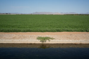 Winterhaven, California; 2023, July 10, 5:58pm © 2025 Jason Houge, All Rights Reserved