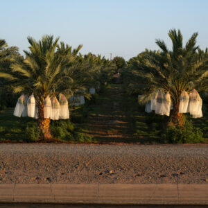 Dates, Yuma Area, Arizona; 2023, July 10, 8:19pm © 2025 Jason Houge, All Rights Reserved