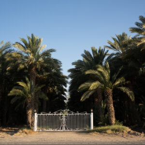 Desert Camp, California; 2023, July 13, 7:56pm © 2025 Jason Houge, All Rights Reserved