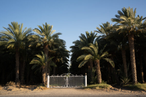 Desert Camp, California; 2023, July 13, 7:56pm © 2025 Jason Houge, All Rights Reserved