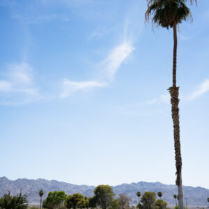 Lake Tamarisk, California; 2023, July 14, 3:38pm © 2025 Jason Houge, All Rights Reserved