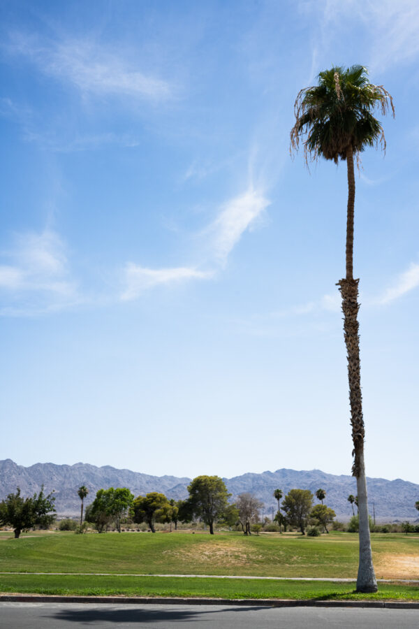 Lake Tamarisk, California; 2023, July 14, 3:38pm © 2025 Jason Houge, All Rights Reserved