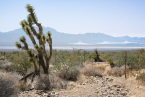 Ivanpah Solar Thermal Power Plant, Nipton, Nevada; 2023, July 15, 4:06pm © 2025 Jason Houge, All Rights Reserved