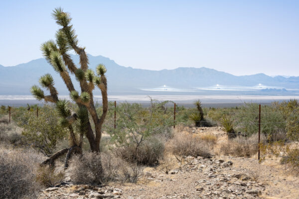 Ivanpah Solar Thermal Power Plant, Nipton, Nevada; 2023, July 15, 4:06pm © 2025 Jason Houge, All Rights Reserved