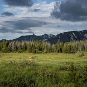 La Poudre Pass Lake, Colorado River Headwaters, Colorado; 2023, July 19, 7:09am © 2025 Jason Houge, All Rights Reserved