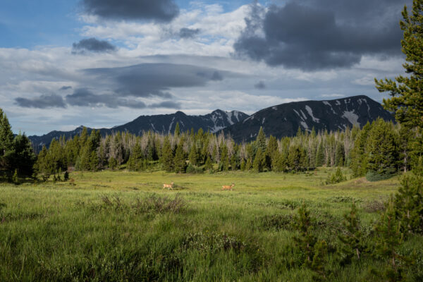 La Poudre Pass Lake, Colorado River Headwaters, Colorado; 2023, July 19, 7:09am © 2025 Jason Houge, All Rights Reserved