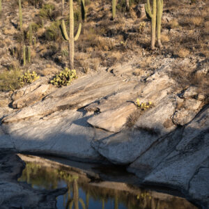 Vail, Arizona; 2024, June 17, 7:12am © 2025 Jason Houge, All Rights Reserved