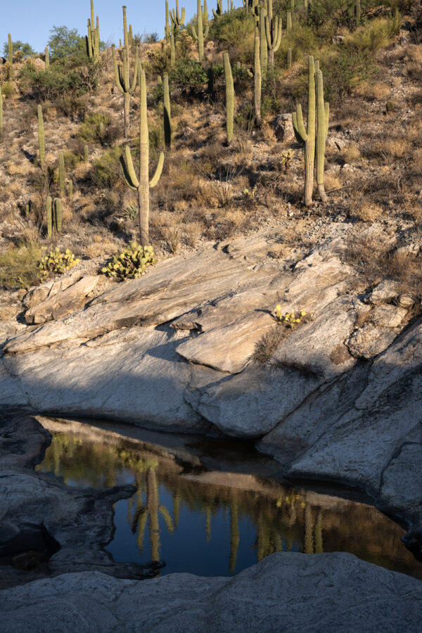 Vail, Arizona; 2024, June 17, 7:12am © 2025 Jason Houge, All Rights Reserved