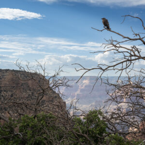 South Rim, Grand Canyon, Arizona; 2024, June 22, 6:50pm © 2025 Jason Houge, All Rights Reserved