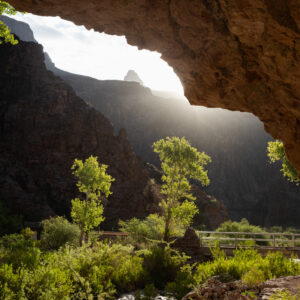 Phantom Ranch, Grand Canyon, Arizona; 2024, June 24, 7:32am © 2025 Jason Houge, All Rights Reserved