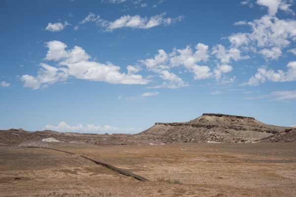 Near the Crystal Geyser, Green River, Utah; 2024, June 29, 11:49am © 2025 Jason Houge, All Rights Reserved