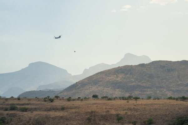 Camino Ramanote, Rio Rico, Arizona; 2023, July 2, 4:05pm © 2025 Jason Houge, All Rights Reserved