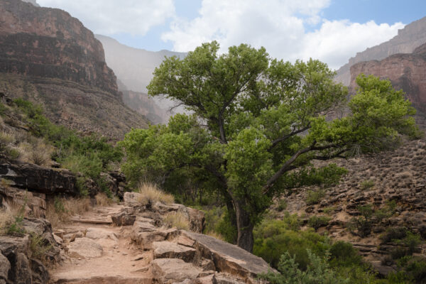 Bright Angel Trail, Grand Canyon, Arizona; 2024, June 23, 11:58am © 2025 Jason Houge, All Rights Reserved