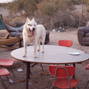 Pastor Dave's Dinner Table; Slab City, CA 2018